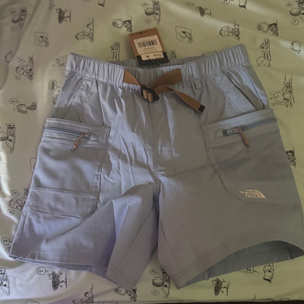 The North Face Men's Sky Blue Athletic Shorts